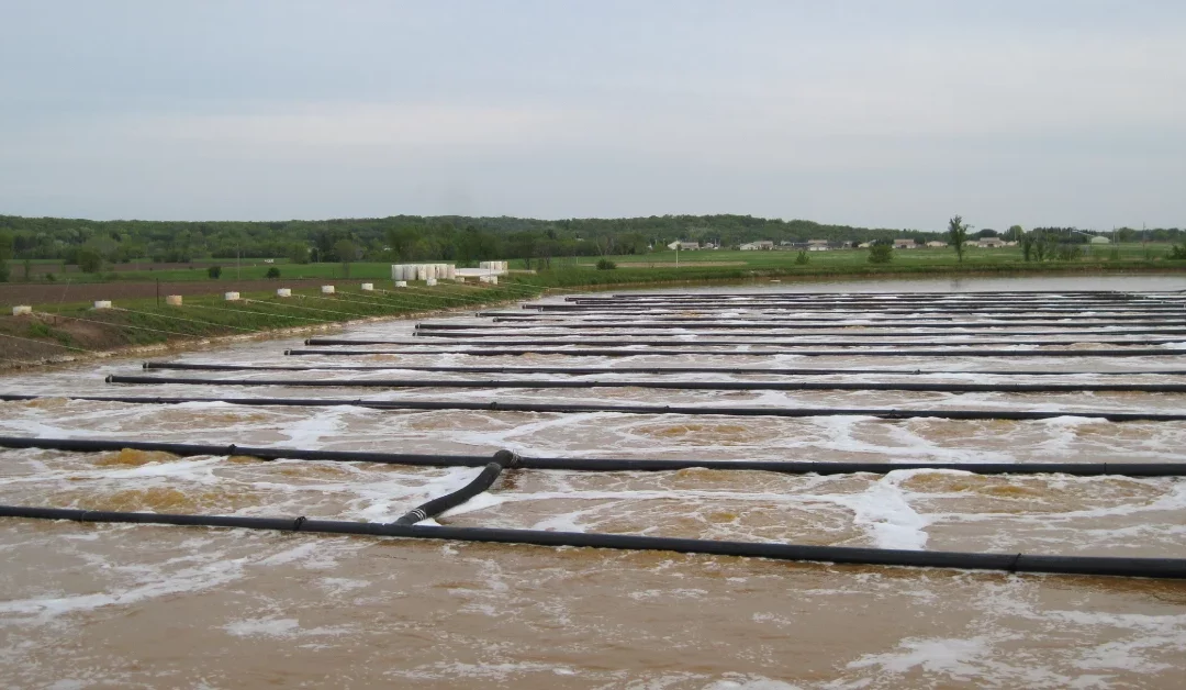 Floating HDPE Air Lateral System Cuts Blower Requirement in Half, Improves DO, and Removes Odor at F&A Dairy Plant