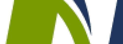 Raster-Magnified Nexom Logo