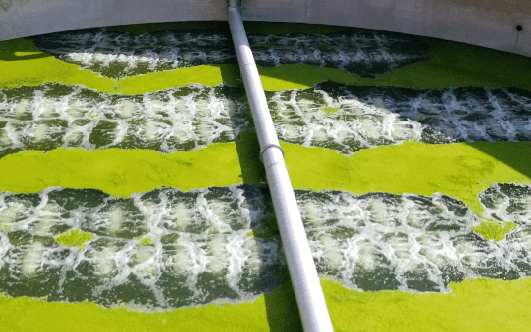 Duckett Creek WWTP: EDI Delivering on the ‘Aeration for Life’ Promise